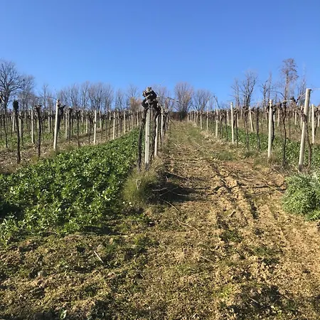 Cerquatonda Montalto delle Marche