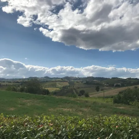 Cerquatonda * Montalto delle Marche