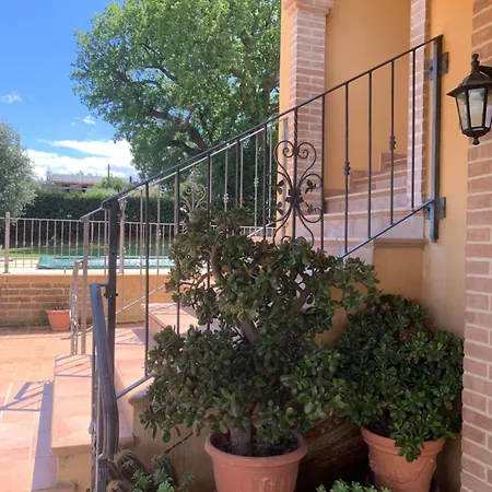 Cerquatonda * Montalto delle Marche