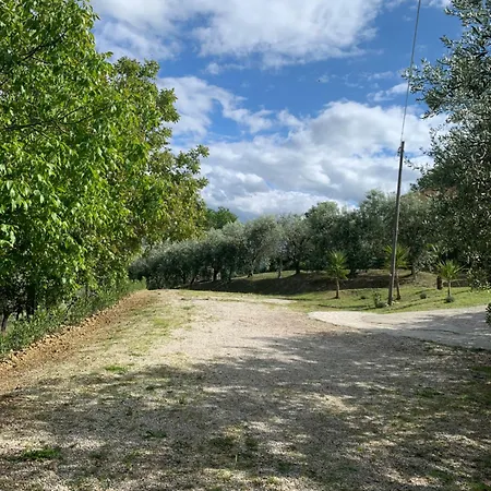 Cerquatonda * Montalto delle Marche